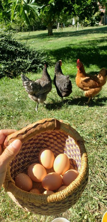 B&B La Ferme De Loubens エクステリア 写真